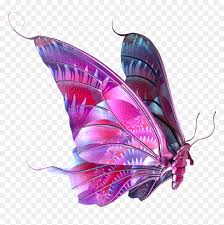 Butterflies are excellent subjects for photography. Beautiful Real Butterfly Png Transparent Png Vhv