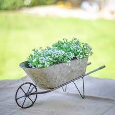 Yardwe garden plant planter wooden wagon planter wheelbarrow decoration for indoor. Gracie Oaks Humboldt Galvanized Metal Wheelbarrow Planter Reviews Wayfair