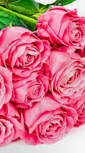 1920x1080 best hd wallpapers of flowers, full hd, hdtv, fhd, 1080p desktop backgrounds for pc & mac, laptop, tablet, mobile phone. Rose Flower Wallpaper For Mobile Phone Hd