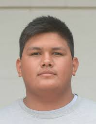 HS FOOTBALL: Lee's Traylor earns top newcomer; 10 Bulldogs honored