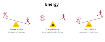 Image result for Energy Deficit Calculation