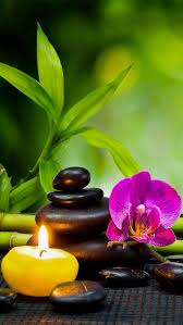 Epingle Sur Zen