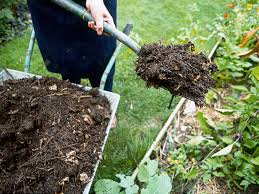 Garden mulch ideas—cheap or free choices, best uses. Winter Mulching In Cold Climate Gardens