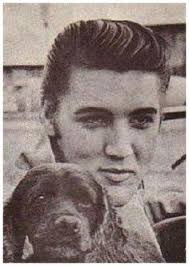 35 Elvis & Some Very Good Doggos ideas