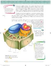 Está en la página 1de 255. La Celula Unidad Funcional De Los Seres Vivos Ayuda Para Tu Tarea De Ciencias Y Tecnologia Biologia Sep Secundaria Primero Respuestas Y Explicaciones