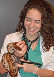 Lauren Rodriguez (Livingston Animal Hospital)
