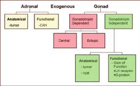 Image result for Precocious Puberty