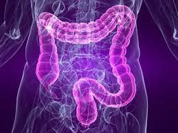 Opioid Induced Narcotic Bowel Syndrome A Matter Of Life And Death December 2015 Drossmancare