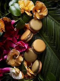 Pin On Macarons