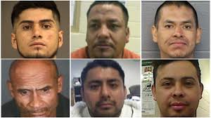 Luchadores, espantapájaros y superhéroes: los disfraces en Univision Área  de la Bahía este Halloween (fotos)