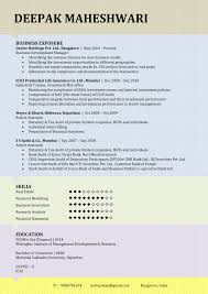 Resume Template 21 Resume Template Resume Resume Templates