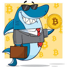 Whether you're just starting out or are an investment expert, there's an app for you. Cryptocurrency Roundup App Gets 100 000 Shark Tank Investment Bitcoin Insider