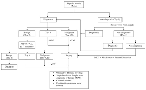 Thyroid Disease Thyroid Nodules With Hypothyroidism