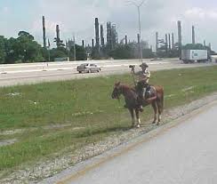 Only In Texas I Was Actually Pulled Over By A Policeman On A Horse In Downtown Houston With Images Only In Texas Texas Texas Usa