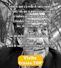 O que põe o mundo em movimento é a interação das diferenças, suas atrações e repulsões; Poemas De Octavio Paz Cortos Y De Amor Poesia