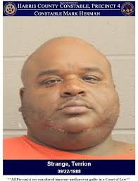 Suspected Shoplifting Trio Faces Felony Charges