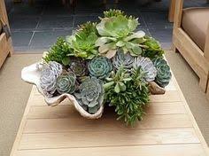 Maybe you would like to learn more about one of these? 20 Clam Shell Ideas Clam Shell Shell Decor Coastal Decor