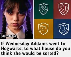 Harry Potter is a feeling 🖤⚡️ The artist is Melody Howe.. Have a look at  her instagram profile 💛  https://instagram.com/theimaginativeillustrator?igshid=bf8xji879y82