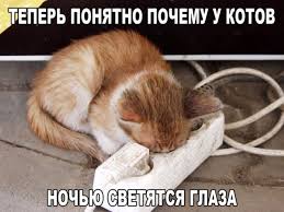 приколы с кошками смешное видео про котов 100 позитив Smeshnye Kartinki S Podpisyami 20 Foto Smeshno Veselye Memy Smeshnye Shutki