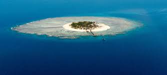 It lies about 1,100 na. 50 Fascinating Facts About Fiji Factretriever Com