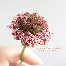 Pin On Dried Flower