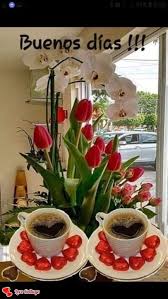 See more of buenos dias san pedro y buenas noches san pedro on facebook. Pin De Pedro En Frases De Buenos Dias Buenos Dias Con Rosas Saludos D Buenos Dias Saludos De Buenos Dias