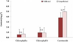 Image result for Vossia cuspidata