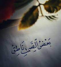 لا أقول شيئا سوى الص مت و بعض الصمت ناطق face quotes proverbs quotes movie quotes funny