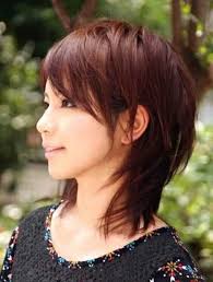 Hair with medium thickness looks excellent cut into a super sharp bob, with a straight poker edge. Medium Shaggy Bob Haircut Pictures Jelitaf
