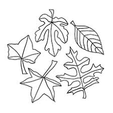 For autumn or fall leaves, print out on red, orange, brown, or yellow paper. Top 20 Free Printable Leaf Coloring Pages Online