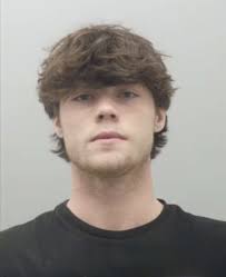 Teen Sentenced To 10 Years In Prison For Crash That Killed Woman In  Kirkwood