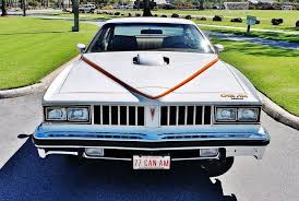 Image result for Alpine White 1977 AMC