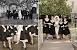Rockabilly 50s Wedding Theme