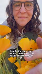 California is home to more than 20 native species of oaks, including  several that are found nowhere else