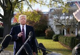 Alison gopnik has spent much of her career trying to discern how babies and children see the world. Trump Goes After Schumer S Newlywed Daughter For Working For Facebook Daily Mail Online