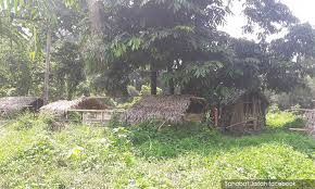 Gua musang hospital, bandar baru gua musang, 18300 gua musang, kelantan, malaizija, fotogrāfijas, atsauksmes. Malaysiakini How The Story Of 15 Bateq Villagers Dying In Gua Musang Unfolded