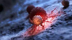 May is oncology nursing month. Immuno Oncology Biotek Applications