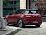 Countryman Mini