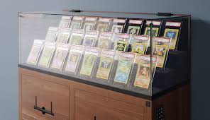 This is the name of the pokémon. Company Aims To Make Fancy Display Cases And Cabinets For Pokemon Card Collectors Gonintendo