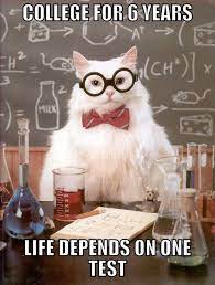 The Best Of The Chemistry Cat Meme Corny Jokes Nerd Jokes Chemistry Jokes