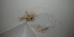 Banyolar teraslara nazaran daha diyeceksiniz ki neden ! Banyo Alt Kata Su Kaciriyor Dinamik Tesisat