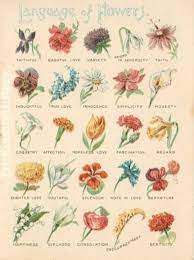 A Floral Arrangement Ergo Flower Meanings Language Of Flowers Trendy Flowers