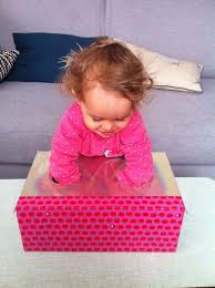 La Boite Mystere Ou Comment Recycler Une Boite A Chaussures Sunnyreve Activite Pour Tout Petits Activite Bebe Activite Bebe 1 An