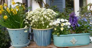 Meine Gartenkeramik Ist In Liebevoller Handarbeit Gedreht Oder Frei Modelliert Und Bei 1250 C Gebrannt Meine Gartenk Pflanzen Gartenkeramik Blumentopf Keramik