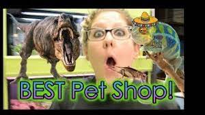 Take home your new pet or supplies today, there is no waiting! Nj Exotics Episode 1 Best Pet Shop Ever Meet The Crew Youtube