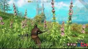 Amazon games' upcoming mmorpg new world goes into a closed beta state this week. Knfon6cjouvlgm