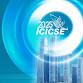 IEEE ICICSE 2025: Information Communication and event image