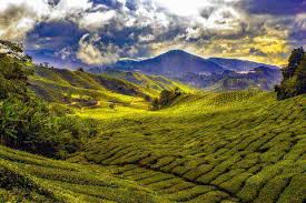 Although tbf to their country, there are more people live on java island than malaysia so it's extremely difficult to control all of them. Should I Go To Indonesia Or Malaysia Which Is Cheaper Which Is Better A Travel Comparison For Malaysia Vs Indonesia Budgetyourtrip Com