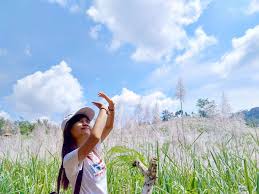 Mancing pagi di sungai hutan yang jauh dari perumahan(tempat baru) terima kasih sudah berkunjung,semoga terhibur. Kebun Tebu Gendu Panorama Cantik Yang Menarik Untuk Selfie