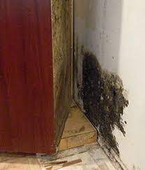 Ships from and sold by toeductor. Do You Have An Air Register Under Your Kitchen Cabinet Auntiegen Www Auntigen Com Auntiegen Us